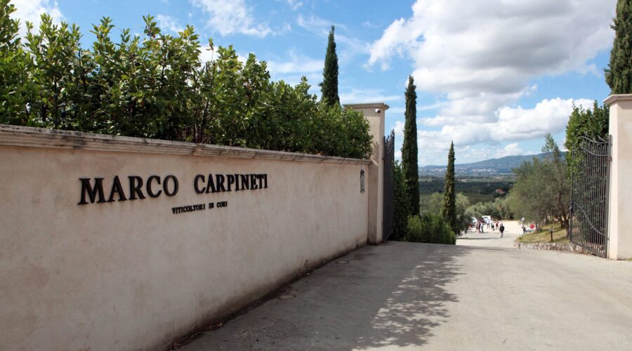 L’eccellenza del Vino Biologico con Carpineti