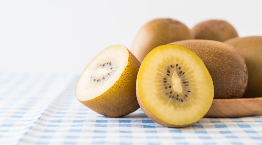 Kiwi giallo, la raccolta dell’Azienda Bressan